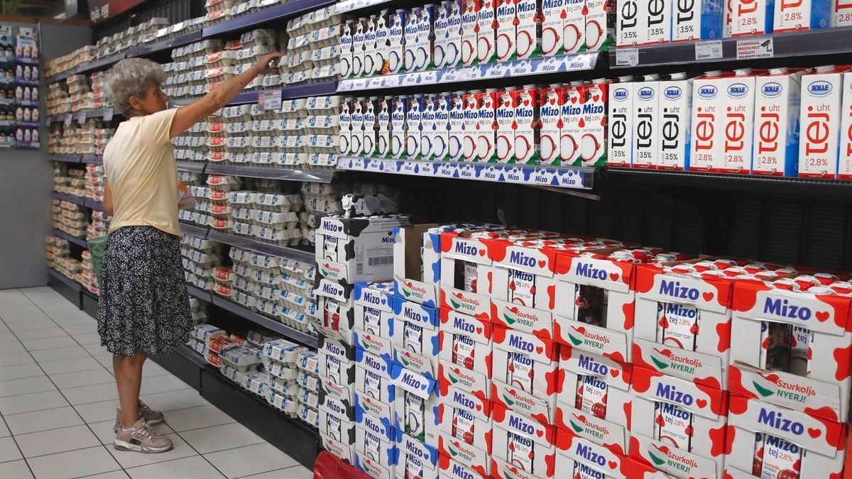 Válságban a magyar tejtermelők: durva árzuhanás és piacvesztés - a szaktárcához fordultak segítségért 