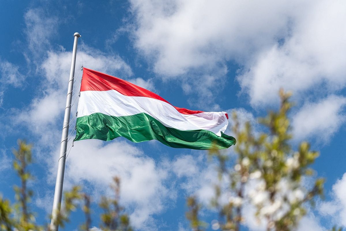 magyar zászló, Magyarország
eMag, Posta, Sameday
csomagszállító, csomagszállítás, kiskereskedelem, futárszolgálat