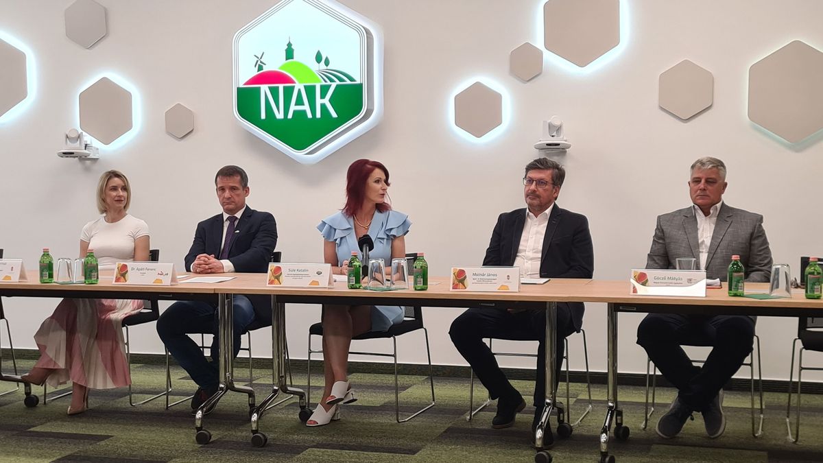 Hamarosan elárasztja a boltokat a magyar dinnye: jó termést várnak a gazdák, kiderült mikor lesz áfacsökkentés 