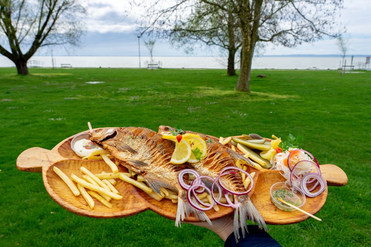 Holding,Fried,Traditional,Bream,Fish,Platter,Next,To,Lake,Balaton Balaton vendéglátás szakács turizmus