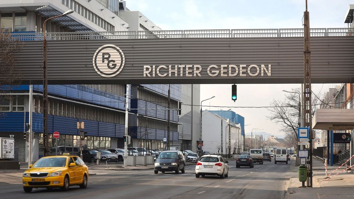 Hatalmas dobásra készül a Richter, beszáll a súlycsökkentő üzletbe 