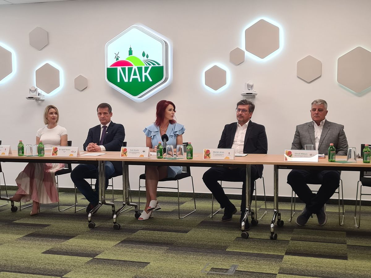 dinnye, Süle Katalin, Apáti Ferenc, dinnyetermesztés