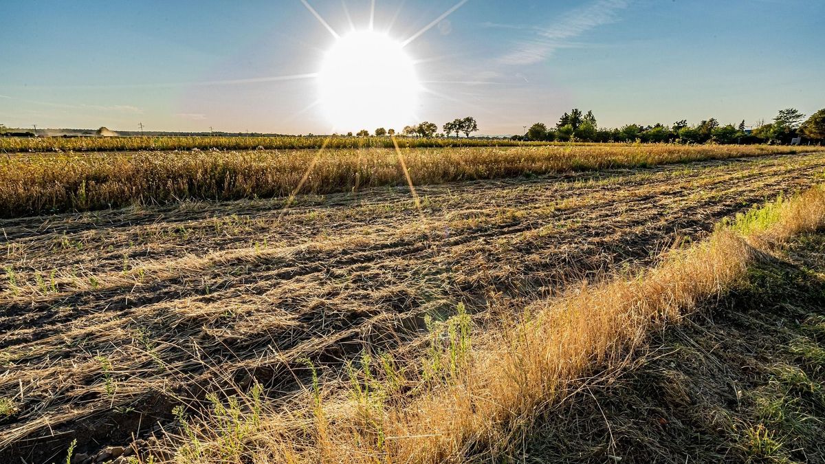Marad a kánikula, miközben hétfőre zivatarriasztás van érvényben (illusztráció), hőség