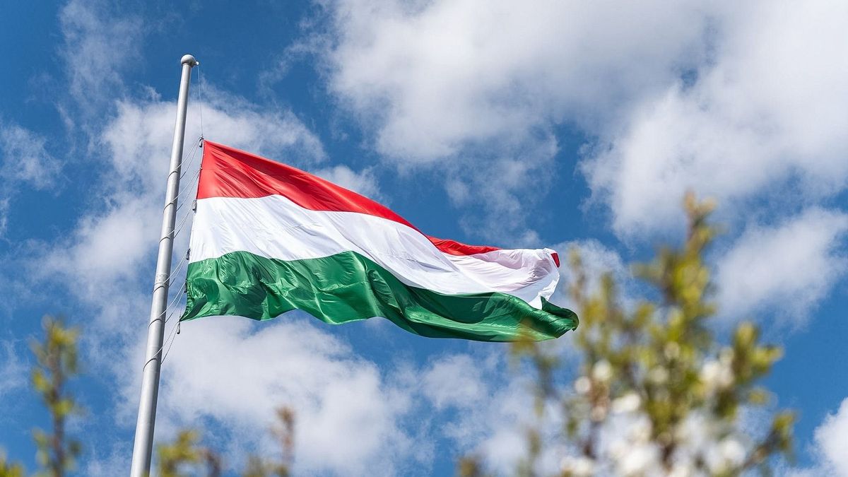 magyar zászló, Magyarország
eMag, Posta, Sameday
csomagszállító, csomagszállítás, kiskereskedelem, futárszolgálat