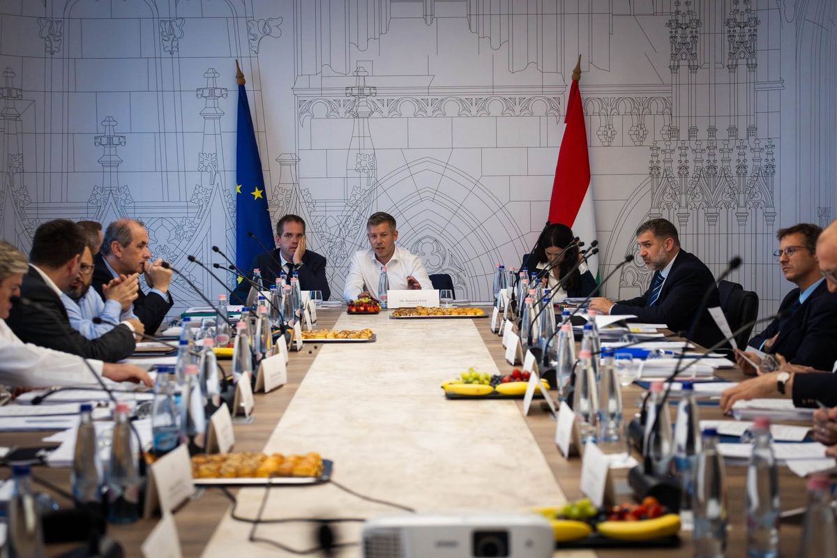 súlyos gazdasági korlátozás,Tisza-kormány, Magyar Péter