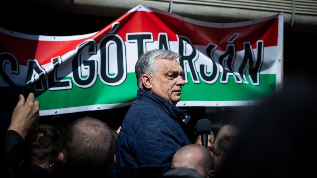 Rendkívüli szombat vár Magyarországra: Magyar Péter rejtélyes bejelentést tesz, eldől Orbán Viktor sorsa – órákon belül minden kiderül 