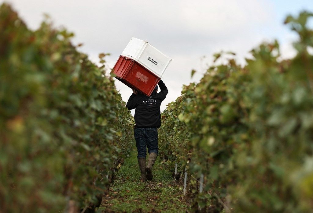 LensToLens | Iconic champagne brand toasts to Sino-French friendship vendégmunkás