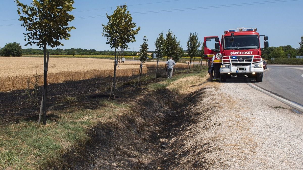 Rémálommá vált az aratás, több hektáron ég a gabona, ezekre mindenkinek kell figyelni ilyenkor 