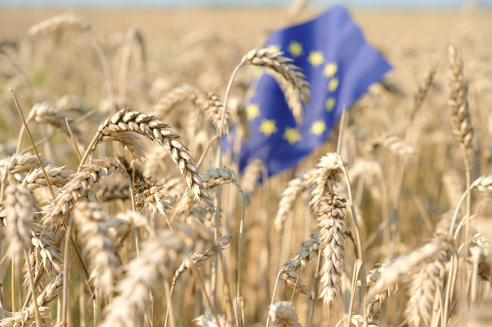 uniós támogatások, forint árfolyam, agrártámogatás