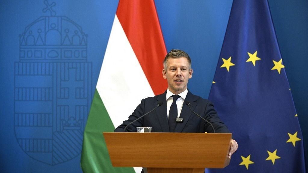 Peter Magyar And Micheal Martin Hold A Joint Press Conference After Bilateral Talks