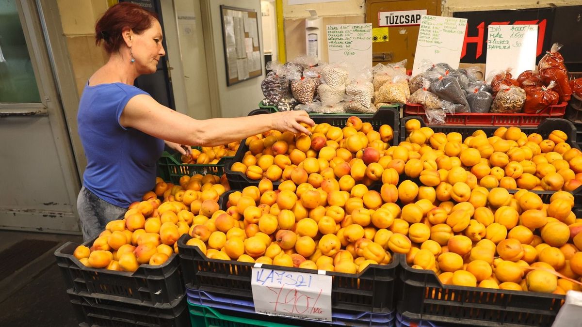 Beszakadt a kajszi ára, örülhetnek a lekvárrajongók, szomorkodhatnak a gazdák