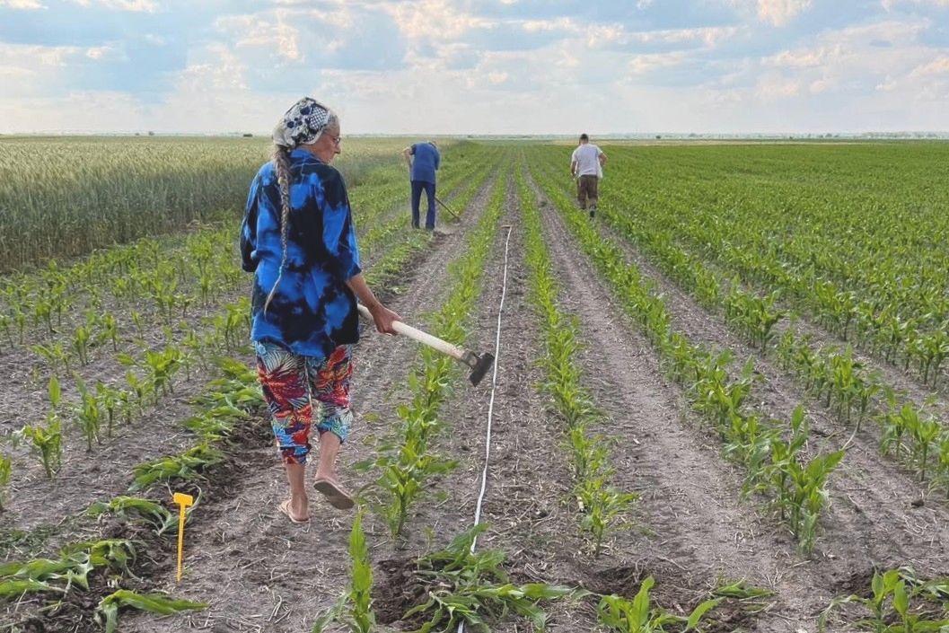 mezőgazdaság, agrárgazdaság, bérek, beruházások, élelmiszeripar