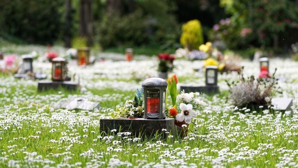 Small,Urn,Graves,With,Lanterns,In,A,Spring,Meadow,Covered
hamvasztóüzem