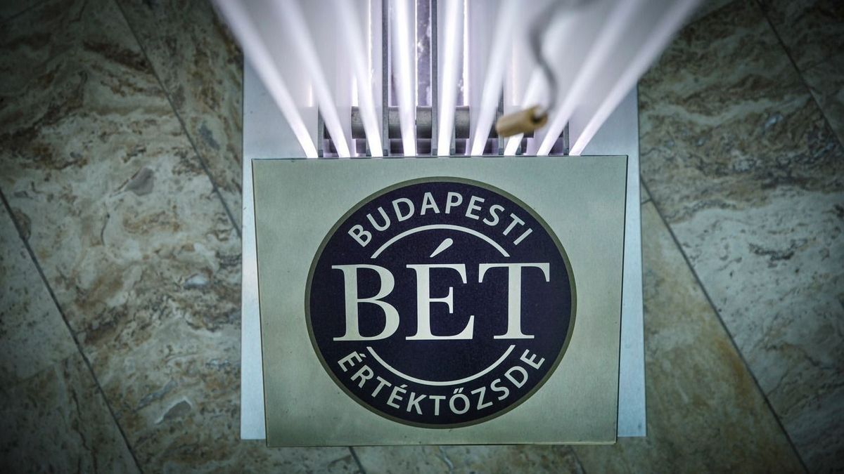 20240827_BET_006_VZ rali a pesti börzén