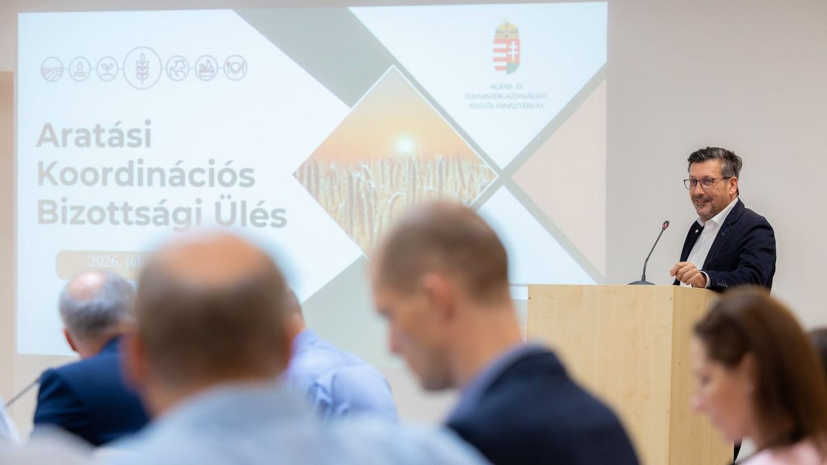 Jó hírt közölt az agrártárca: lesz elég gabona Magyarországon, de az idei aratás mégsem sikertörténet 