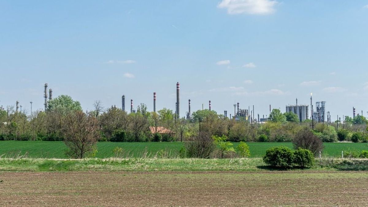 Ahogy távozott Magyar Péter, rögtön döntöttek a Mol városában – ment az üzenet a vállalatvezetőknek, „ez egyelőre csak ajánlás!"