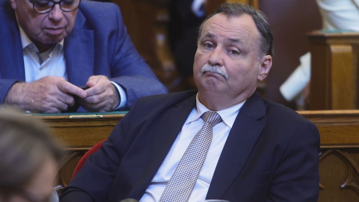 20260714_parlament_HZ_VG (24), Gajdos László