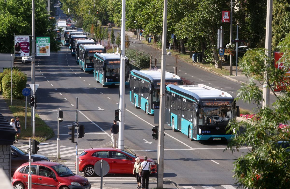 BYD busz Kaposvár