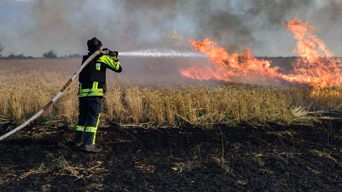 Az oroszok lebombázzák az ukrán gabonát: naponta ég le több száz hektárnyi terület 
