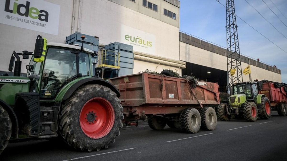 Vetőmagóriás születik Európában két francia szövetkezet egyesülésével: együttes árbevételük közel 800 milliárd forint 