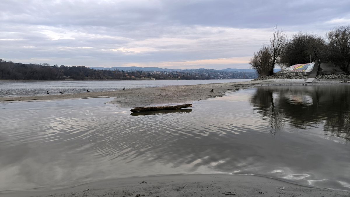 Duna February,26th,,2025,,Serbia,,Novi,Sad,,Extremely,Low,Water,Level