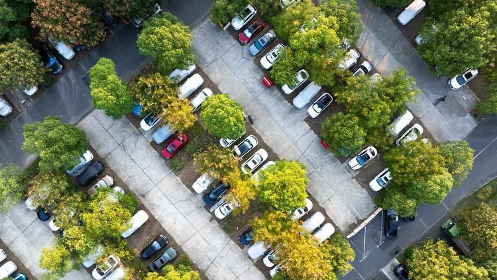 Aerial,View,Of,Parking,Lot,With,Cars,And,Trees,,Neatly