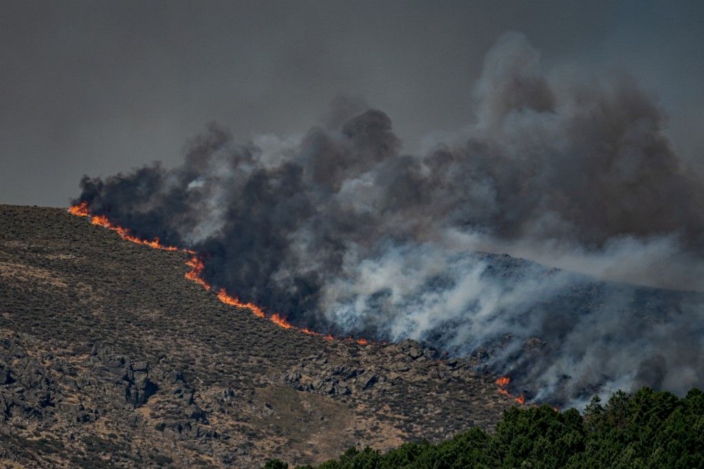 wildfire erdőtűz erdőtüzek
Spanyolország, aszály, időjárás