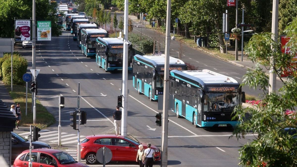 Ilyet is ritkán látni: ellepték a várost a Magyarországon gyártott kínai buszok – videón a BYD-flotta 
