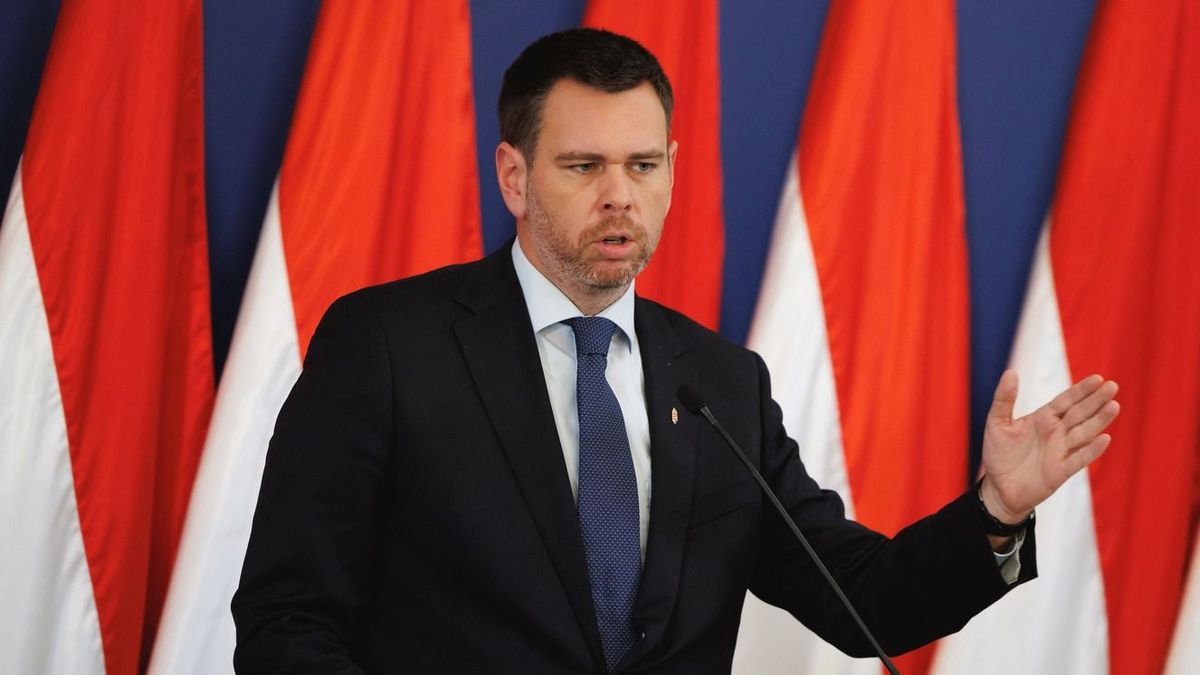Vitézy Dávid lépett: felmentették a Steindl Imre Programiroda vezetőjét, átalakítják a Várkapitányságot