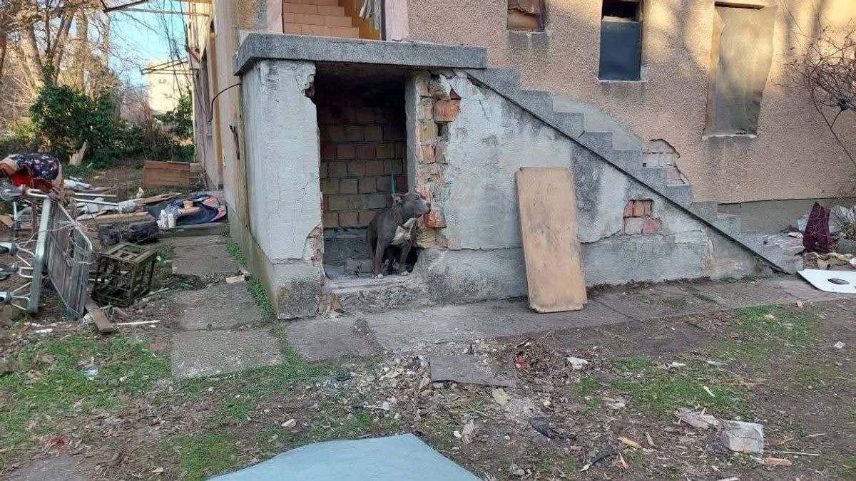 Megdöbbentő állítás Rákosrendezőről: a leszakadt vármegyékből özönlöttek a lakásfoglalók – senki sem tudja, véget ért-e a beáramlás 