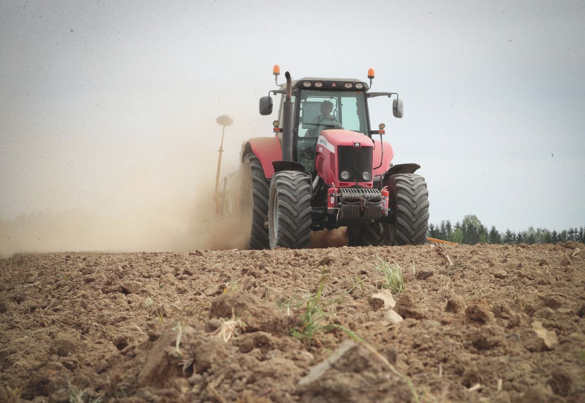 traktor, traktorpiac, ereőgépek, mezőgazdaság