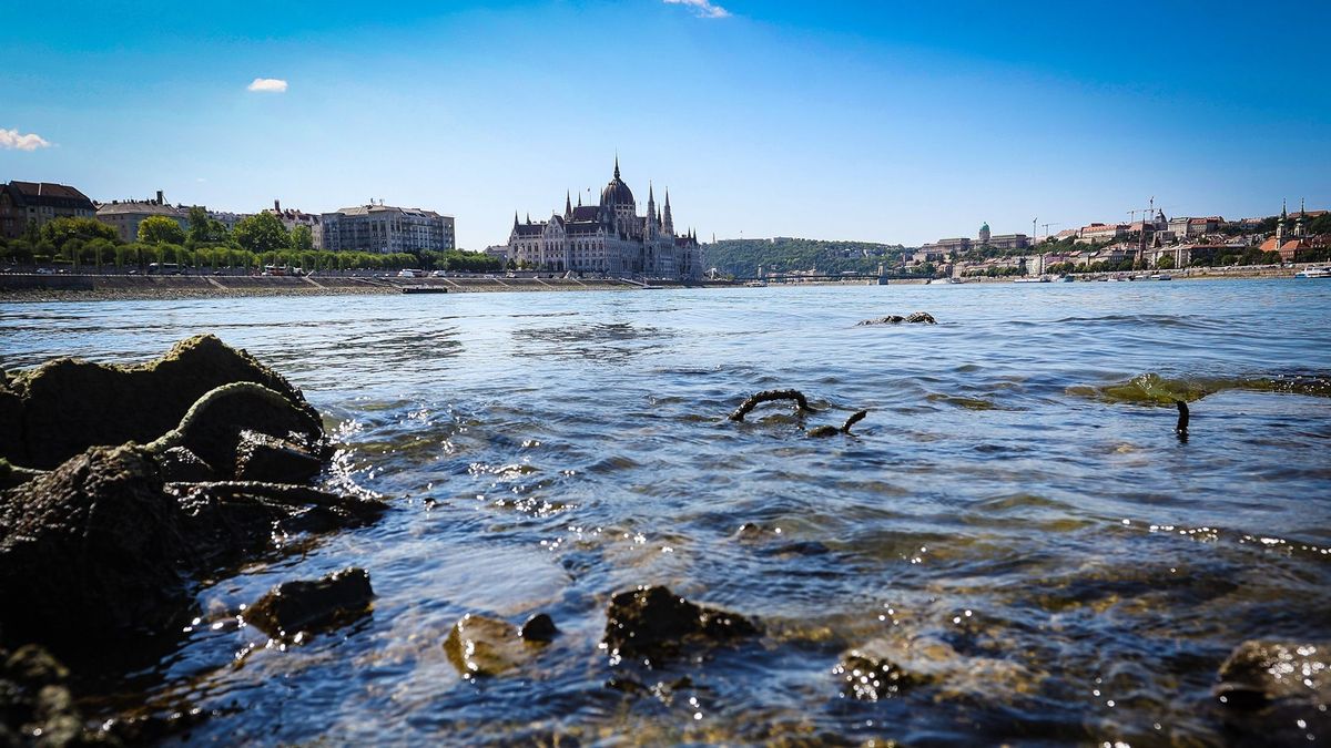 Most kezdődik az igazi dráma a Dunán, az ijesztő esetek máris sorban jönnek 
