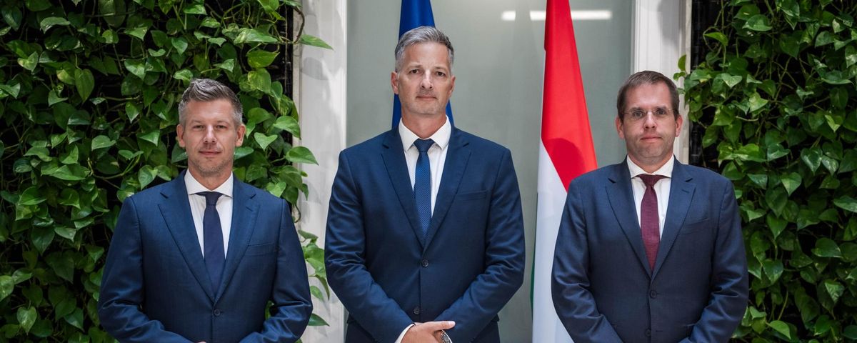 Szeverényi Dávid a KEHI új elnöke