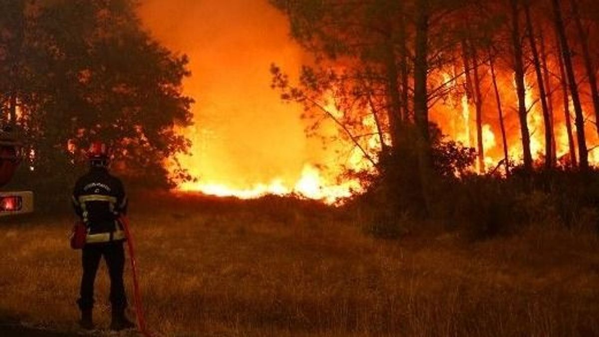 Pokoli erdőtüzek Európában, már 300 ezer embert kellett evakuálni – forgószelet okoztak a lángok 