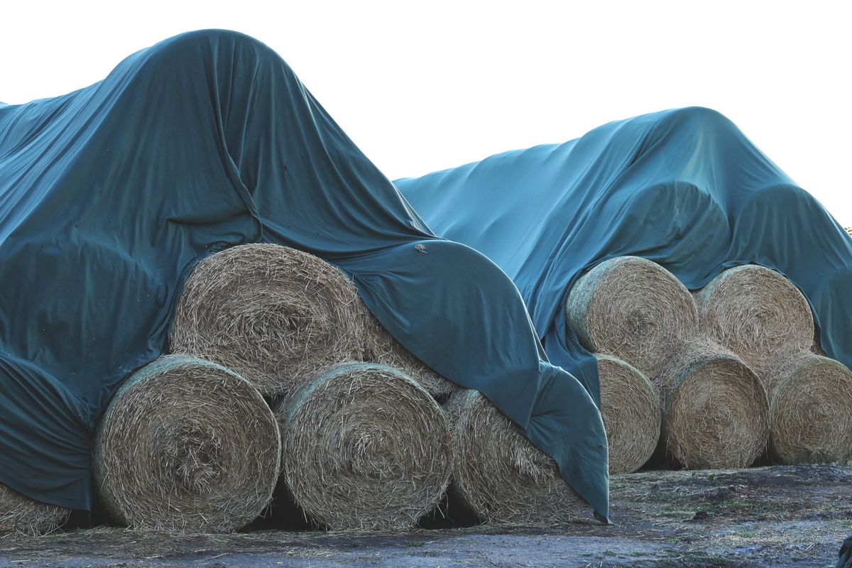 szálastakarmány, agrártárca, útdíjkedvezmény