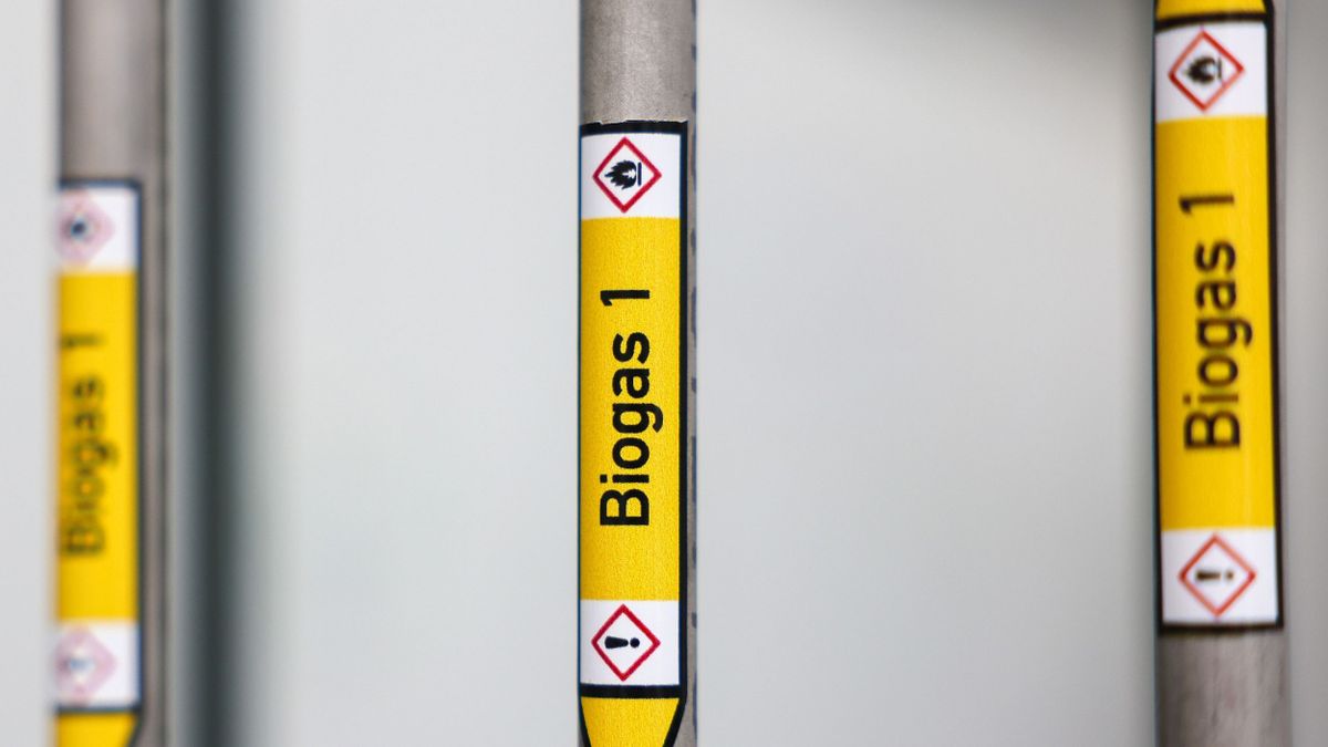 biomassza,Pilot plant for renewable methane goes into operation