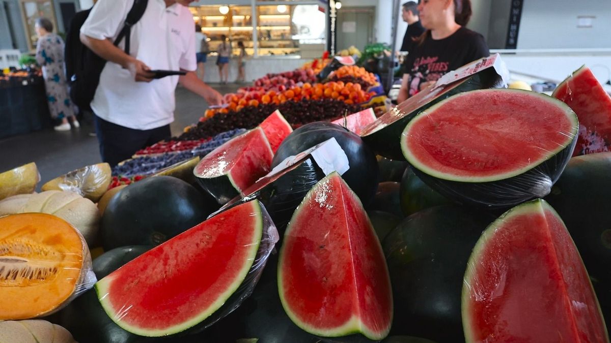 Elfogyott a türelem: ingyen osztják a dinnyét a termelők Magyarországon, nem hallgatott rájuk a Tesco és a Penny – itt vannak az akció részletei 