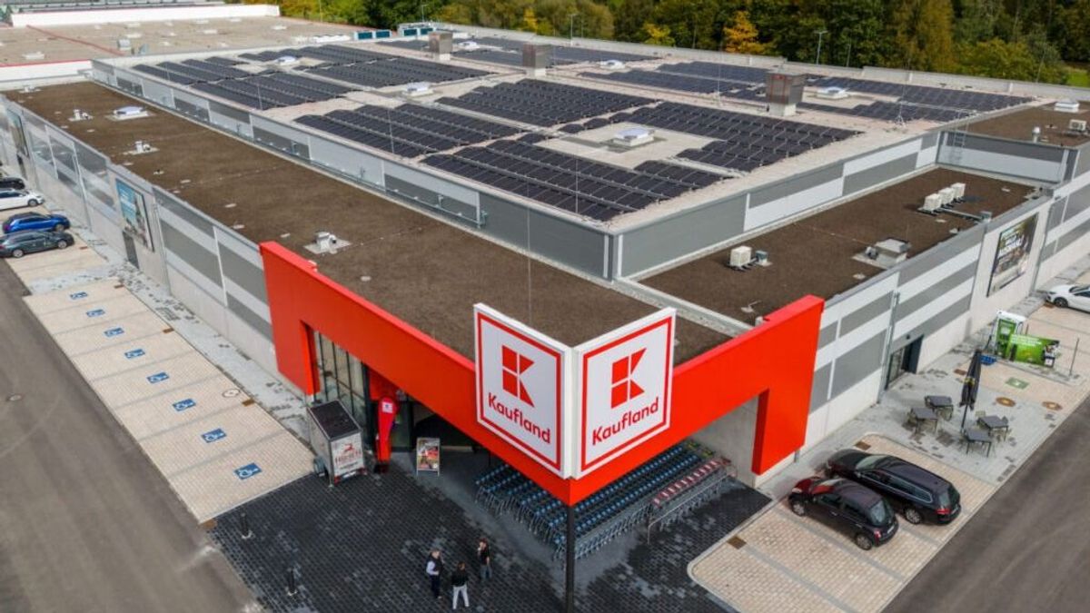 Új német óriásbolt veheti meg a Tesco áruházait Magyarországon? Nagyon magas szintről érkezett meg a válasz – a Schwarz-csoport döntése, hogy bevonulnak-e 