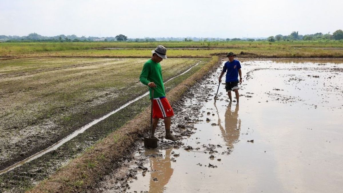 Új gazdasági csapás közelít: a „szuper El Nino” elszabadíthatja az élelmiszerárakat – Magyarország sem marad teljesen érintetlen, de Ázsia kapja a hatalmas pofont 