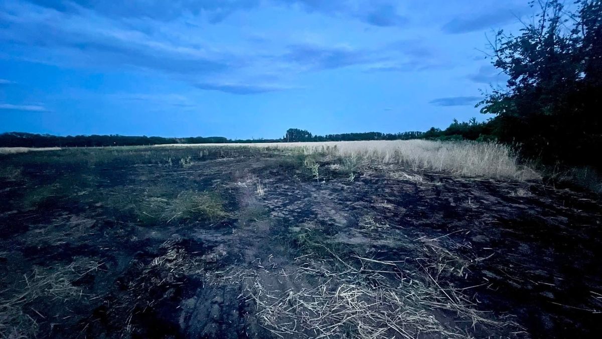 Gyújtogatásra gyanakszik a volt államtitkár: aratás előtt majdnem leégett a gabonatábla - tavaly 20 hektárnyi szalma veszett oda ugyanitt 