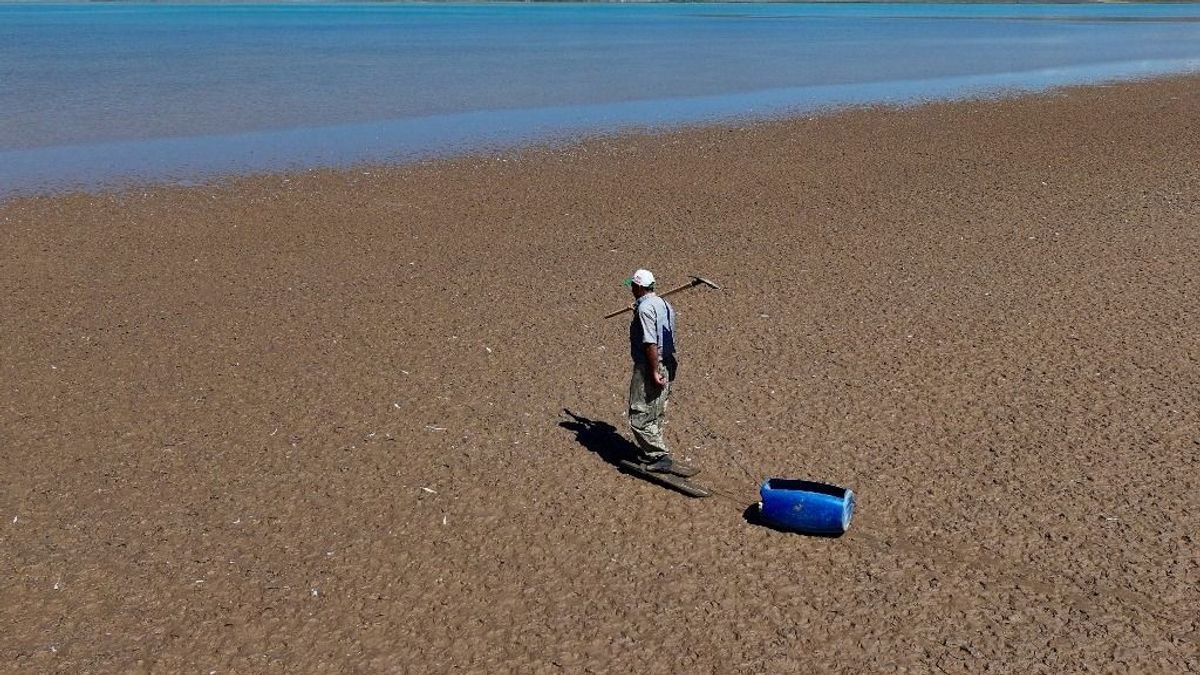 Perzselő aszály: így alkalmazkodnak a mediterrán országok 