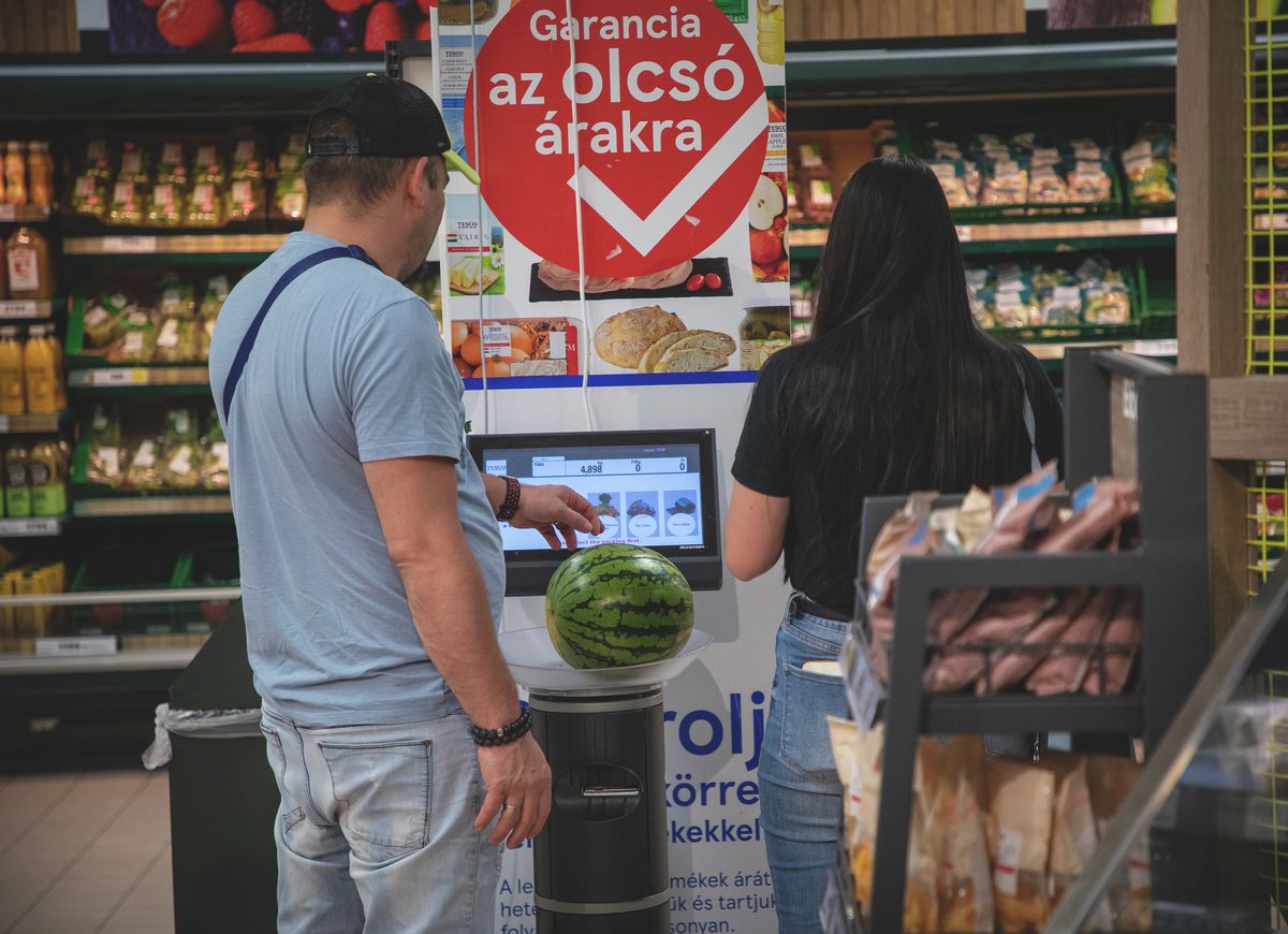 dinye, dinnyeteremlő, fogyasztóvédelmi, dinnye ára, dinnye minősége
