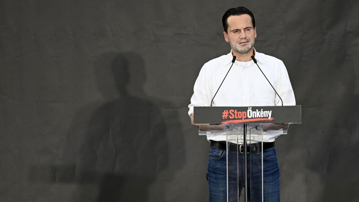 Megszólalt a lemondásról Havasi Bertalan, erre biztosan nem számított Gulyás Gergely – „Ellenérzéseim vannak, ez a gyengeség jele!" 
