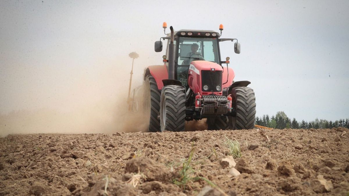 A traktor úgy fogy, mint a cukor, de hatalmas a turpisság – nem a világ dübörög, és nem is Európa 