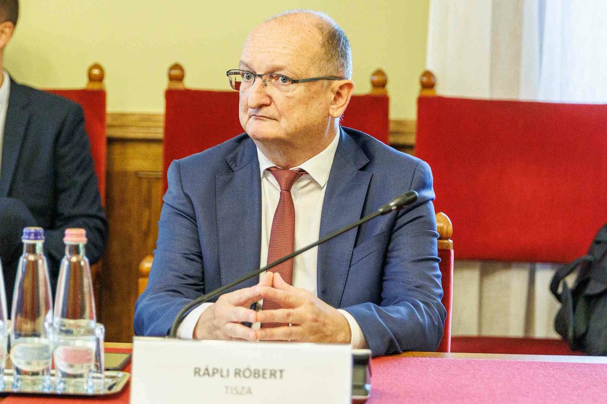 Tisza, Rápli Róbert