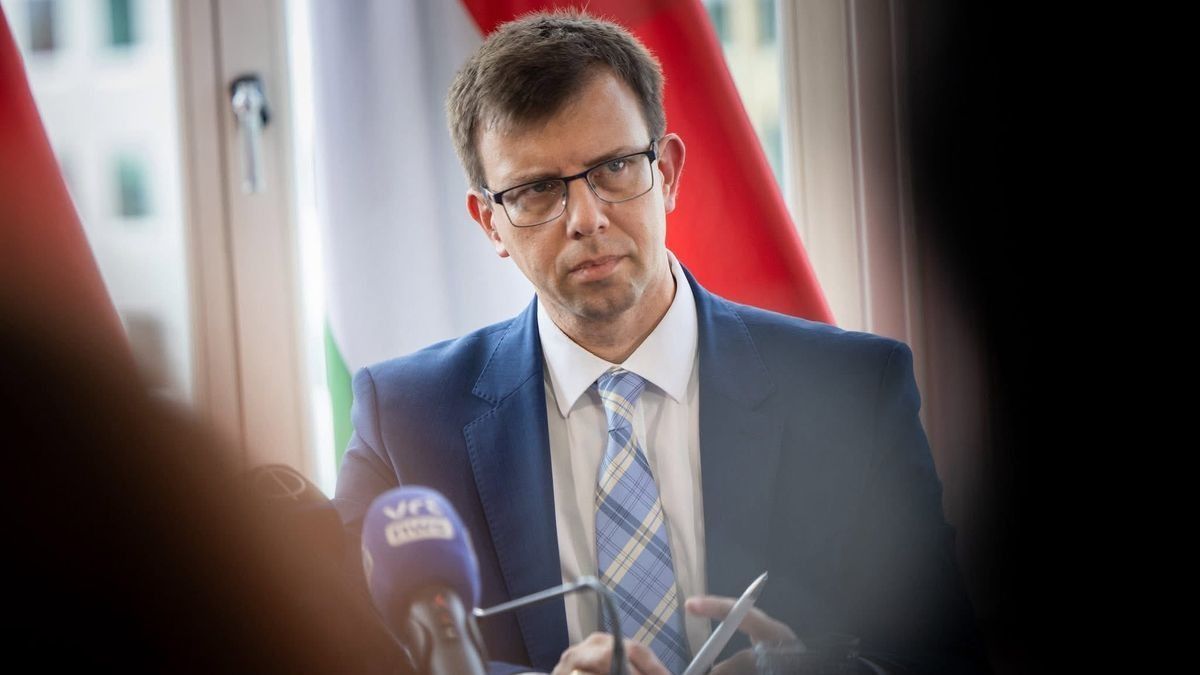 Erre senki nem figyelt fel: Bóka János a brüsszeli lapnak árulta el, hogy dolgoznak a Fideszben Orbán Viktor visszatérésén – önkritikát gyakorolt az ellenzéki frakcióvezető 