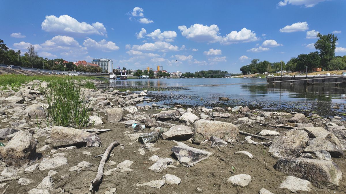 Kitakarta a szemek elől: nem csak a Duna van borzasztó állapotban, Magyarország másik nagy folyója is a kiszáradás szélén – búvárok merültek el a Tiszában 