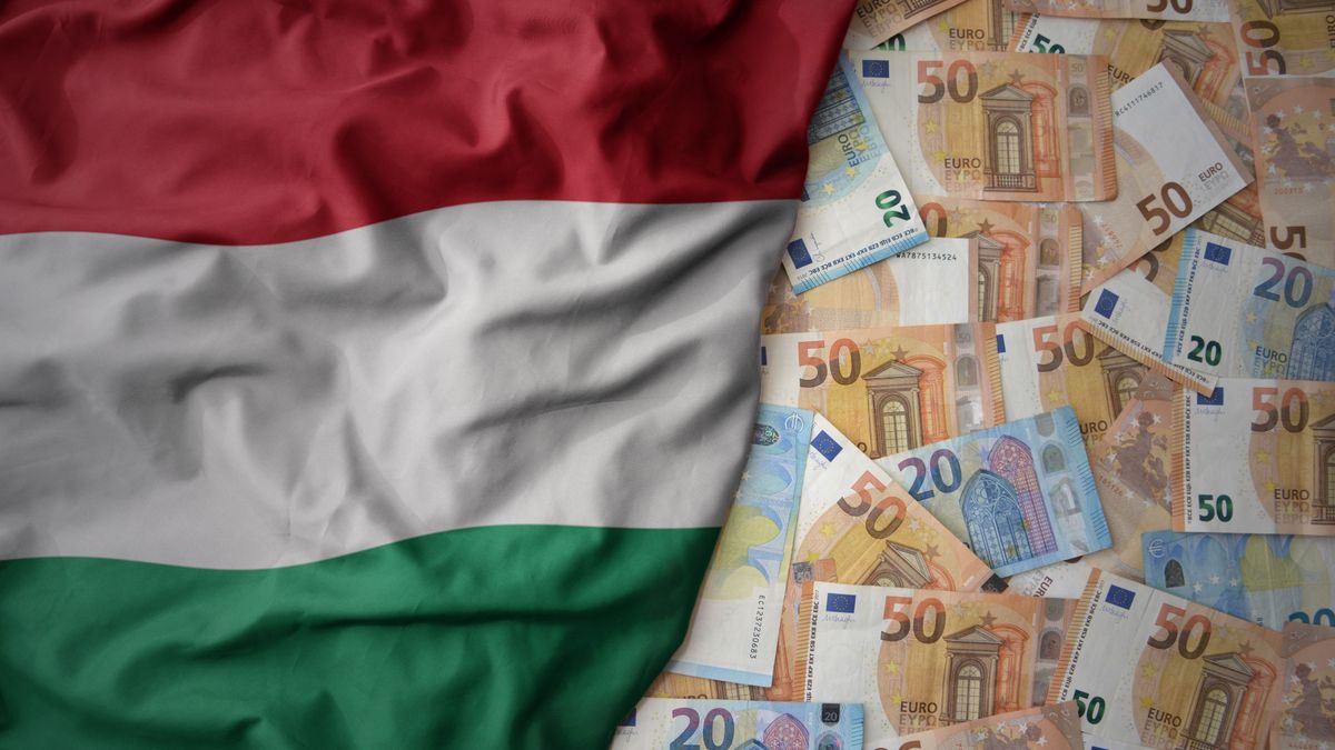 Big,Colorful,Waving,National,Flag,Of,Hungary,On,A,Euro, uniós pénzek