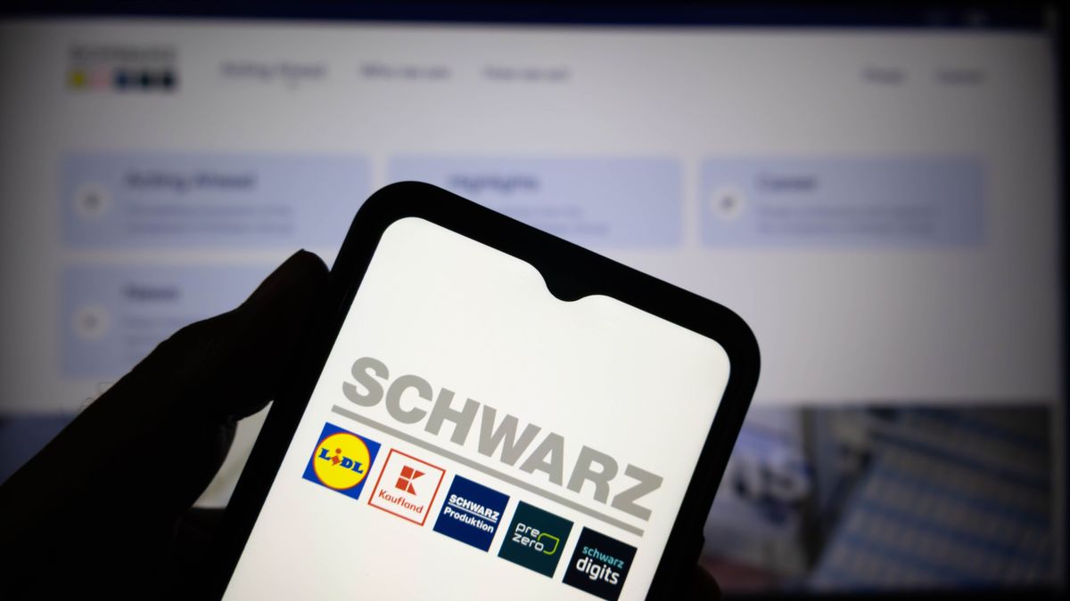 Óriási beruházást jelentett be a Lidl anyavállalata: 2200 milliárd forint elköltésével mentenék meg Európát – beszállnak a közigazgatásba is, ez intő jel a magyaroknak 