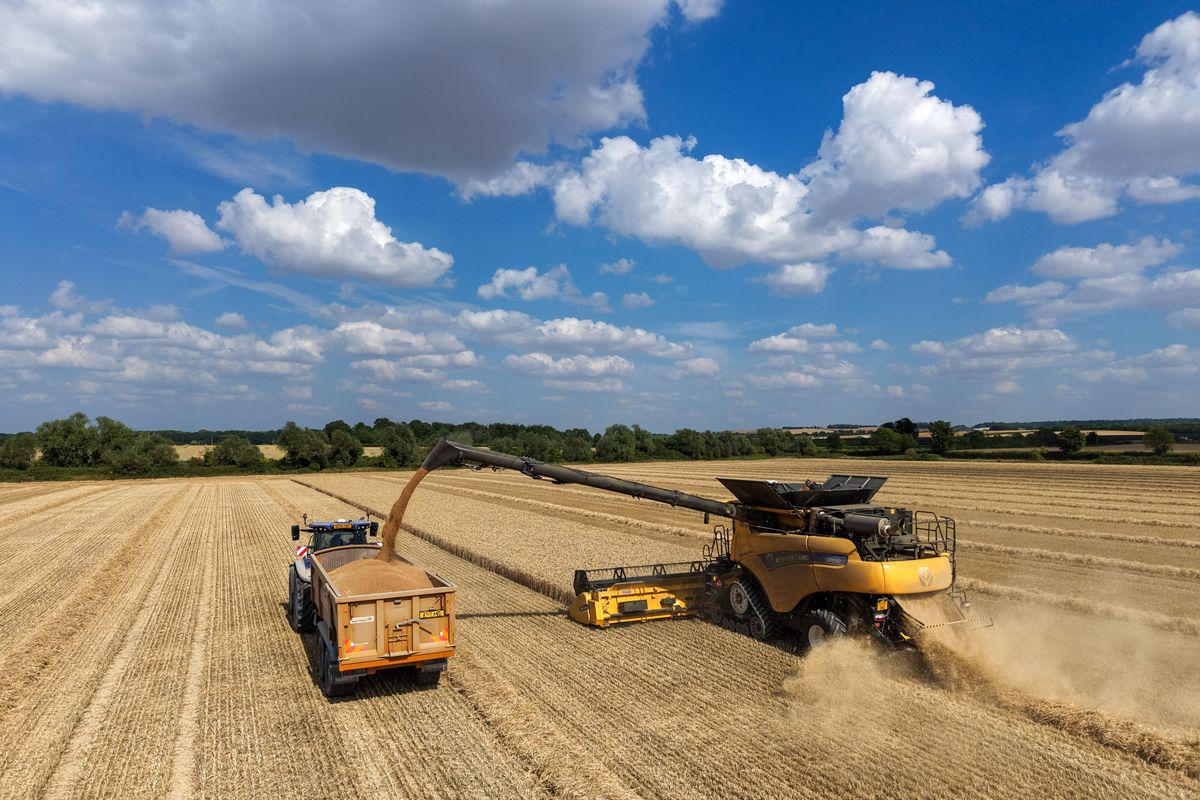 búza,Gabona, búza ára, Bloomberg Agriculture Spot Index